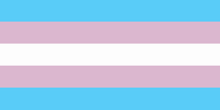 800px-Transgender_Pride_flag.svg_200