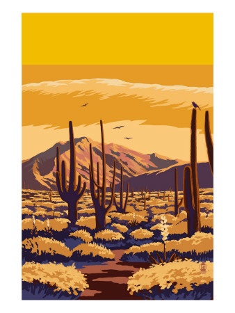arizona-desert-scene-with-cactus