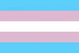 trans_flag