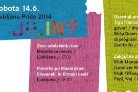 banner LJ pride 2014