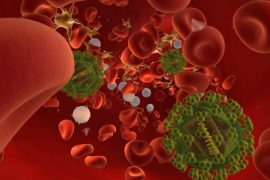 hiv-virus-in-the-bloodstream